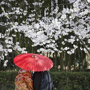 Japanese couple wearing traditional clothing in Koraku-en Garden, Okayama, Okayama