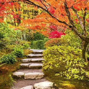 Japanese Garden in Autumn, Seattle, Washington, USA