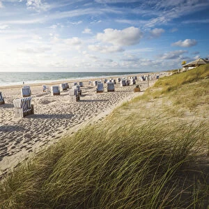 Kampen, Sylt island, North Frisia, Schleswig-Holstein, Germany. Strandkorbs on the beach
