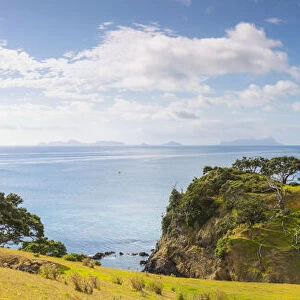 Kauri Mountain, Whangarei Heads, Whangarei, Northland, North Island, New Zealand