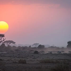 Kenya, Africa, Sunset at Amboseli National Park