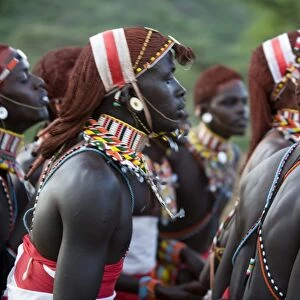 Kenya, Laikipia, Ol Malo. Samburu warriors sing, clap and dance in their traditional dress at a manyatta