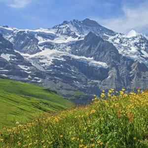 Kleine Scheidegg with Jungfrau, Bernese Alps, Berner Oberland, Grindelwald, canton Berne