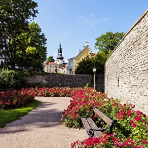 Komandandi Garden, Old Town Walls, Tallinn, Estonia