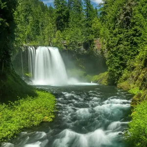 Koosah Falls, Willamette National Forest, Oregon, USA