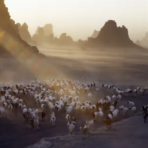 Lake Abbe, on the border of Djibouti and Ethiopia