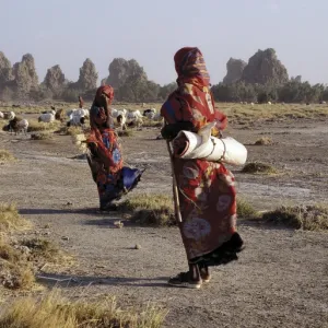 Lake Abbe, on the border of Djibouti and Ethiopia