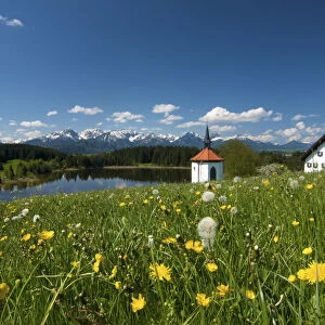Lake Hegratsrieder See, Allgaeu, Bavaria, Germany