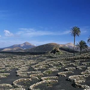 Landscape nearby Uga, Lanzarote, Canary Islands, Spain