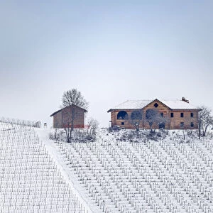 Langhe, Cuneo district, Piedmont, Italy. Langhe wine region winter snow, Fontanafredda