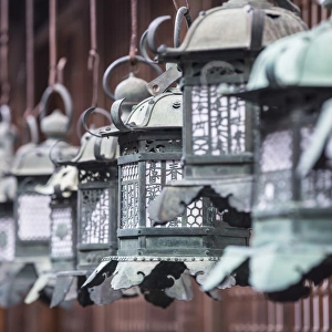 Lanterns at Kasuga Taisha Shrine (UNESCO World Heritage Site) at dusk, Nara, Kansai
