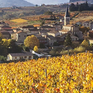 Lantignie and its vineyards, Beaujolais region, Rhone Alpes, France