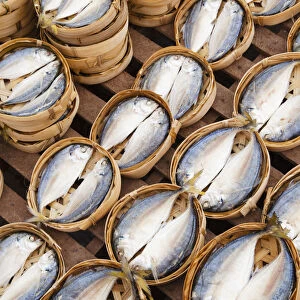 Laos, Vientiane, The Morning Market, Dried Fish