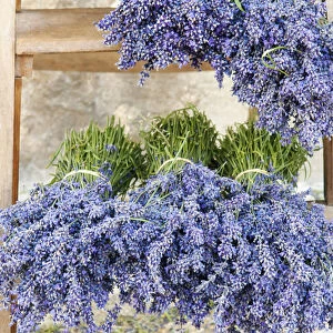 Lavender bundles for sale outside of a shop in Sault, Provence, France