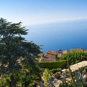 Le Jardin Exotique, Eze, Alpes-Maritimes, Provence-Alpes-Cote D Azur, French Riviera
