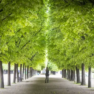 Le Palais Royal, Paris, France Le Palais Royal, Paris, France