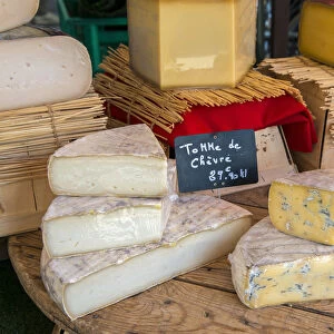Local cheeses on sale at the market, Saint-Remy-de-Provence, Provence, France