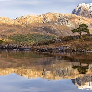 Loch Maree reflections, Wester Ross, Highlands, Scotland