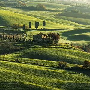 Lone countryhouse immersed in the Siena countryside, Val d Orcia, Tuscany, Italy