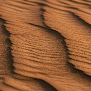 Low light and shadows highlight ridges made by the wind in the sand dunes