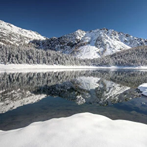 Malenco valley, reflected on the Palu lake after autumn snowy, Lombardy, Italy