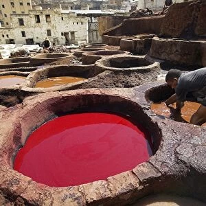 A man working in the tanneries in Old Fez, Morocco