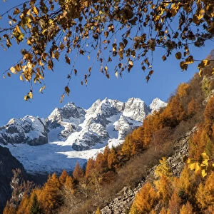 Masino valley in autumn, in the background Ferro peaks, Lombardy, Italy