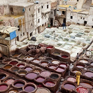 Medieval traditional tanneries of Fez Morocco