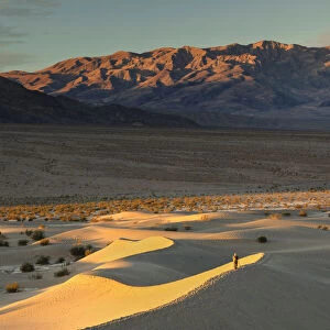 Mesquite Flat Sand Dunes at sunrise, Death Valley National Park, California, USA