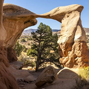 Metate Arch at Devils Garden on sunny day, Grand Staircase-Escalante National