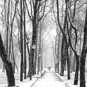 Mikhailovsky Gardens in winter, Saint Petersburg, Russia