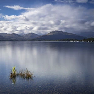 Milarrochy Bay with mountains, Loch Lomond, Loch Lomond and The Trossachs National Park
