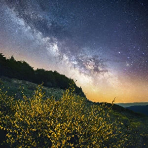 Milky way over flowering brooms in the central Appennines, Tuscany, Italy