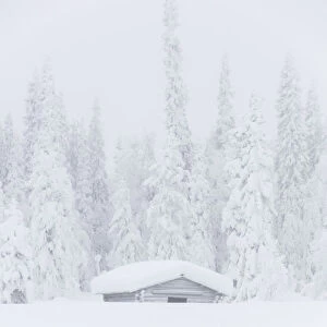 Mist on snow covered hut, Levi, Kittila, Lapland, Finland