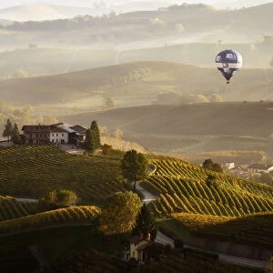 Misty morning in Langhe with an hot baloon, Piedmont, Italy
