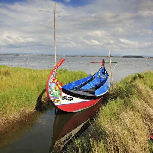 Moliceiro, a traditional boat in the Aveiro river. Portugal