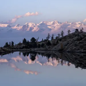 The Monte Rosa group reflecting in the still water of Lake Bianco in the pink