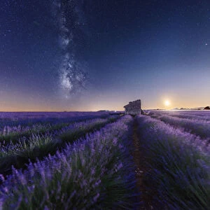 Moonset and milky way over an abandoned farmhouse in the middle of lavenders fields