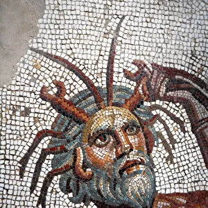 Mosaic from the House of Amphitrite, Roman city Bulla Regia, Tunisia