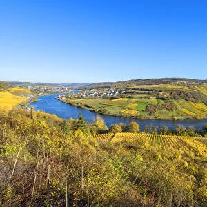 Mosel horseshoe bend near Machtum and Grevenmacher, Luxembourg, with view at Nittel