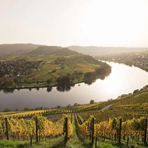 Moselle rivel loop, Krov, Moselle Valley, Rhineland-Palatinate, Germany