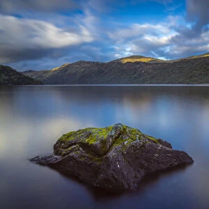 Moss on rock in Loch Lomond, Inveruglas, Loch Lomond and The Trossachs National Park