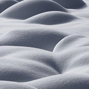Mounds of snow formed over tussocks of sedges, Zelenci Spring, Kranjska Gora, Slovenia