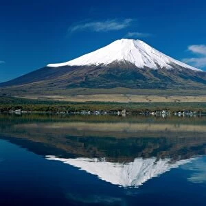 Mount Fuji / Lake Yamanaka