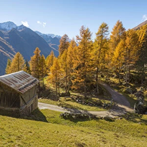 Mountain hut in autumn Europe, Italy, Trentino region, Trento district, Pejo valley