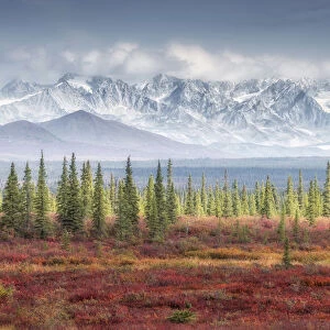 Mountain range from Denali highway, Alaska, in autumn