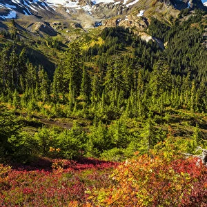 Mt. Baker in Autumn, Mt. Baker-Snoqualmie National Forest, Washington, USA