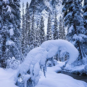 Mt. Burgess in Winter, Yoho National Park, British Columbia, Canada