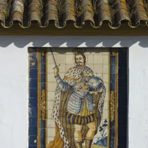 Mural of one of the historic Spanish kings made from