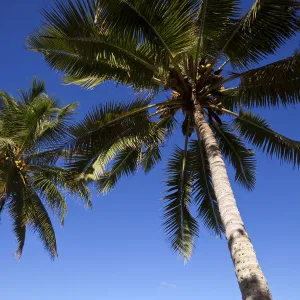 Muri Beach, Rarotonga, Cook Islands, South Pacific